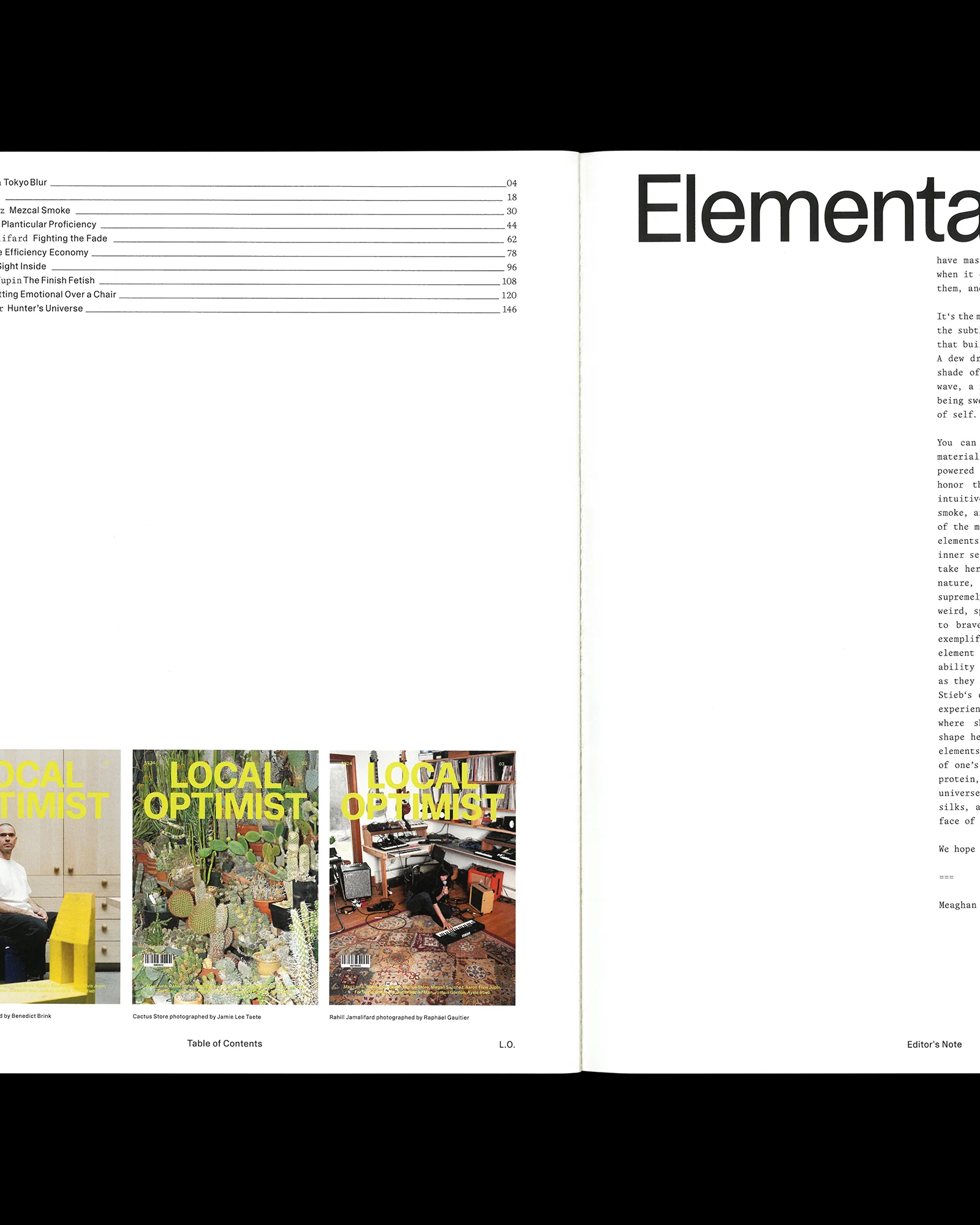 Local Optimist Issue 03 - Image 3