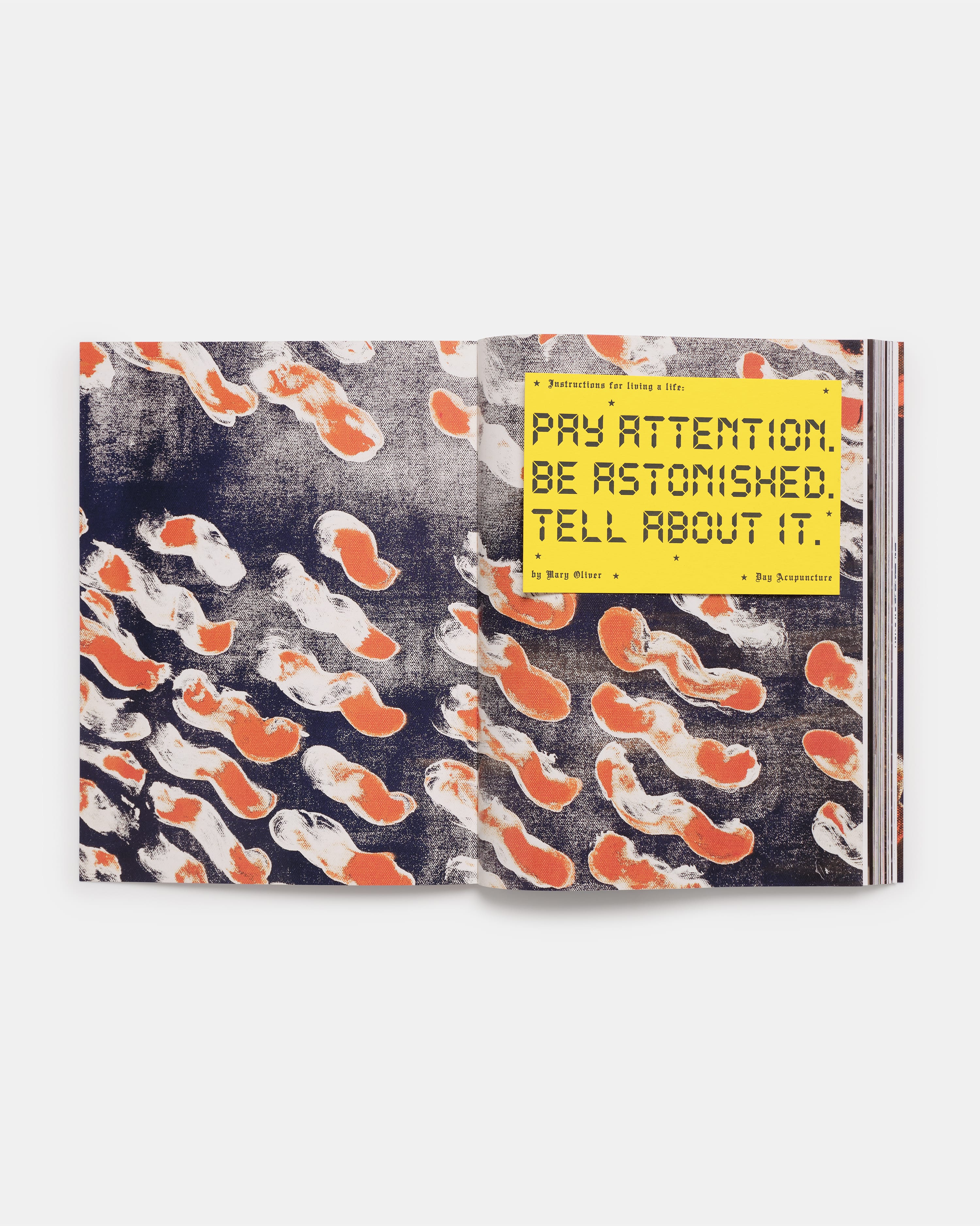 Local Optimist Issue 04 - Image 6